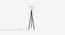 Zetta  Floor Lamp Walnut KD (Black Finish) by Urban Ladder - Front View Design 1 - 328020