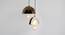 APOLLO HANGING LAMP (Black Finish) by Urban Ladder - Design 1 Details - 328047