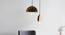 APOLLO HANGING LAMP (Black Finish) by Urban Ladder - Design 1 Top View - 328048