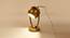 METROPOLIS Table Lamp (Black Finish) by Urban Ladder - Design 1 Top View - 328113