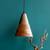 Maurya hanging lamp lp
