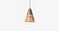Maurya Hanging (Black Finish) by Urban Ladder - Design 1 Close View - 328154