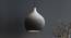 DHOLA drop  hanging lamp (Black Finish) by Urban Ladder - Design 1 Top View - 328166