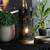 Arch table lamp lp