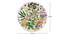 Cairn Wall Plate by Urban Ladder - Cross View Design 1 - 330235