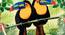 Toucan Wall Plate by Urban Ladder - Front View Design 1 - 330291