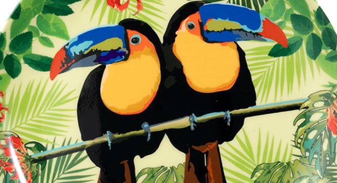 Toucan Wall Plate by Urban Ladder - Front View Design 1 - 330294