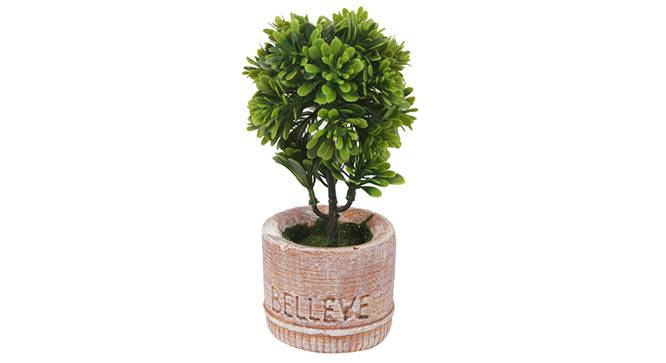 Buch Artificial Plant (Green) by Urban Ladder - Front View Design 1 - 330422