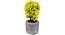 Buch Artificial Plant (Yellow) by Urban Ladder - Front View Design 1 - 330425