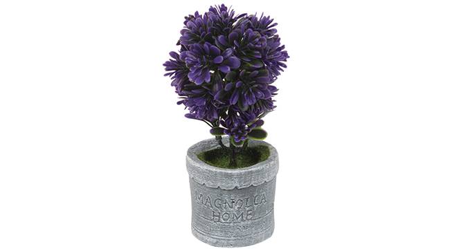 Buch Artificial Plant (Purple) by Urban Ladder - Front View Design 1 - 330428