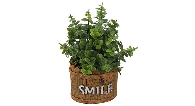 Aura Artificial Plant (Green) by Urban Ladder - Front View Design 1 - 330452