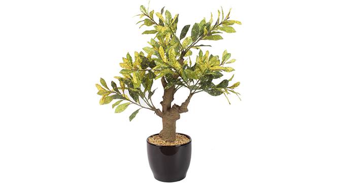 Altis Artificial Plant (Yellow) by Urban Ladder - Front View Design 1 - 330455