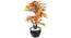 Triga Artificial Plant by Urban Ladder - Front View Design 1 - 330470