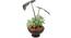 Broad Zebra Artificial Plant (Green) by Urban Ladder - Front View Design 1 - 330476
