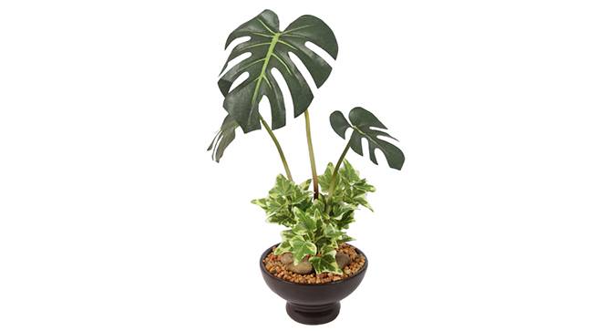 Broad Split Philo Artificial Plant (Green) by Urban Ladder - Front View Design 1 - 330479
