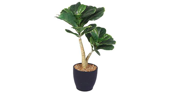 Montana Artificial Plant (Green) by Urban Ladder - Front View Design 1 - 330491
