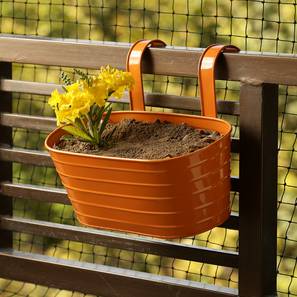 Planters Design Chinmay Planter