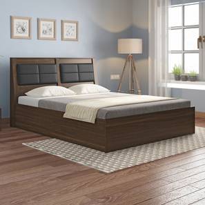 Queen Size Bed Design Pico Non-Storage Bed (Queen Bed Size, Californian Walnut Finish)