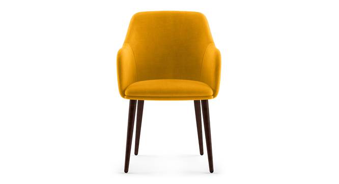 Owen Lounge Chair (Matte Mustard Yellow) by Urban Ladder - Front View Design 1 - 333750