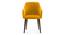 Owen Lounge Chair (Matte Mustard Yellow) by Urban Ladder - Front View Design 1 - 333750