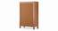 Carnegie Cabinet (Amber Walnut Finish) by Urban Ladder - Rear View Design 1 - 334816