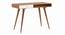 Roswell Study Desk (White, Amber Walnut Finish) by Urban Ladder - Design 1 Details - 335259