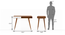 Roswell Study Desk (White, Amber Walnut Finish) by Urban Ladder - Design 1 Dimension - 335260