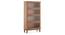 Malabar Barrister Bookshelf (60-Book Capacity) (Amber Walnut Finish) by Urban Ladder - Cross View - 335339