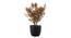 Chirita Artificial Plant by Urban Ladder - Front View Design 1 - 335358