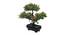 Hendrix Artificial Plant by Urban Ladder - Rear View Design 1 - 335398