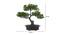 Guinevere Artificial Plant by Urban Ladder - Design 1 Dimension - 335405