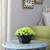 Ines artificial plant black lp