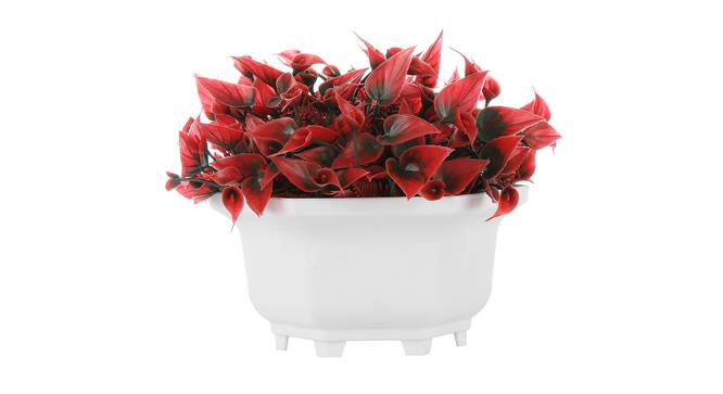 Herowa Artificial Plant by Urban Ladder - Front View Design 1 - 335415