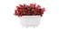 Herowa Artificial Plant by Urban Ladder - Front View Design 1 - 335415