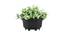 Honor Artificial Plant by Urban Ladder - Front View Design 1 - 335416