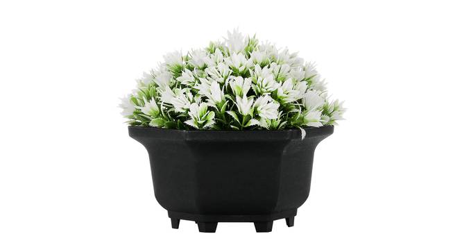 Ida Artificial Plant by Urban Ladder - Front View Design 1 - 335417