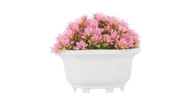 Imogen Artificial Plant by Urban Ladder - Front View Design 1 - 335418