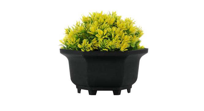 Indigo Artificial Plant by Urban Ladder - Front View Design 1 - 335419