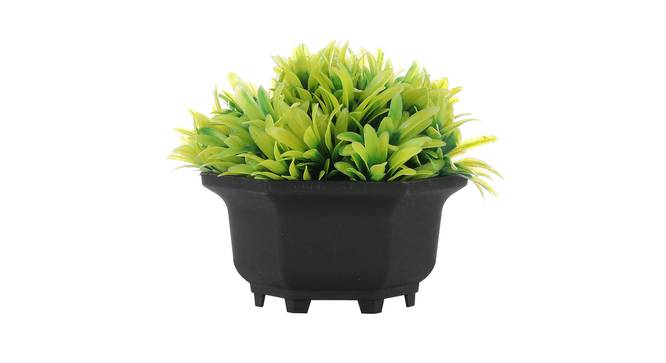 Ines Artificial Plant by Urban Ladder - Front View Design 1 - 335420