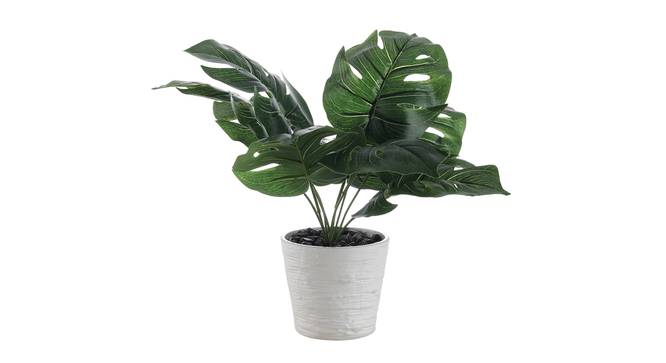 Irena Artificial Plant by Urban Ladder - Front View Design 1 - 335422