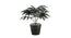 Isadora Artificial Plant by Urban Ladder - Front View Design 1 - 335423