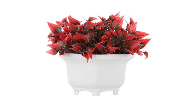 Herowa Artificial Plant by Urban Ladder - Cross View Design 1 - 335424