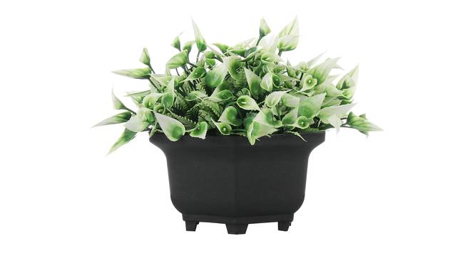 Honor Artificial Plant by Urban Ladder - Cross View Design 1 - 335425