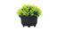 Ines Artificial Plant by Urban Ladder - Cross View Design 1 - 335429