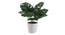 Irena Artificial Plant by Urban Ladder - Cross View Design 1 - 335431