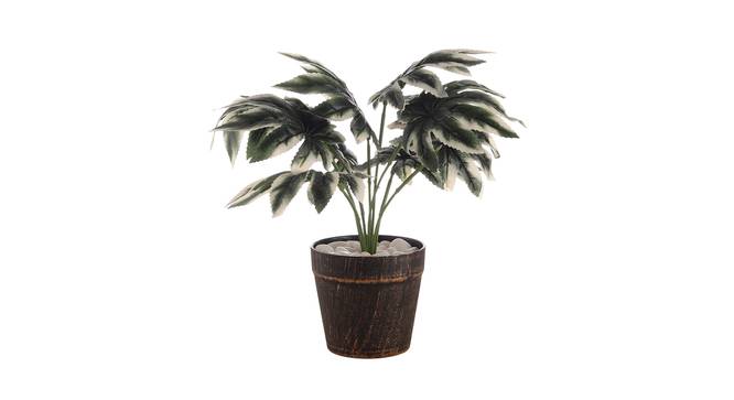 Isadora Artificial Plant by Urban Ladder - Cross View Design 1 - 335432