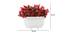 Herowa Artificial Plant by Urban Ladder - Design 1 Dimension - 335433
