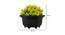 Indigo Artificial Plant by Urban Ladder - Design 1 Dimension - 335437