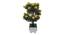Jace Artificial Plant by Urban Ladder - Front View Design 1 - 335450