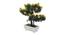 Jace Artificial Plant by Urban Ladder - Cross View Design 1 - 335455